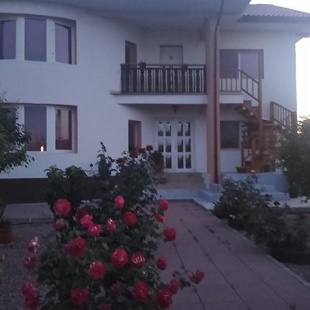 Casa Doina Hotel Douăzeci şi Trei August Buitenkant foto