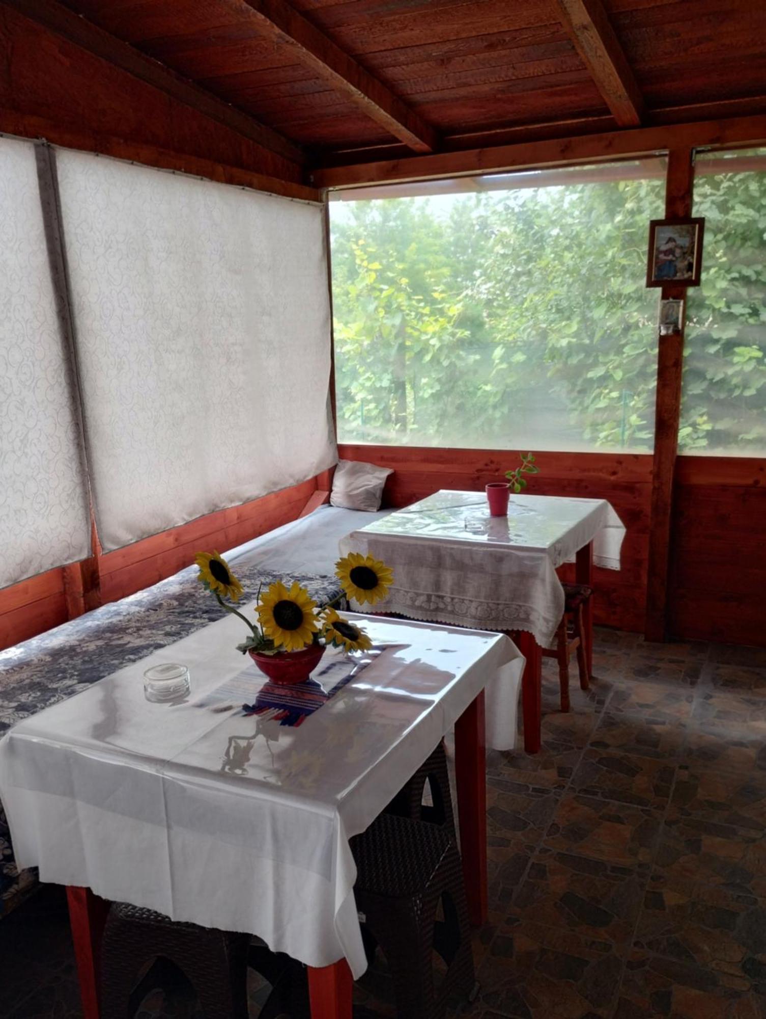 Casa Doina Hotel Douăzeci şi Trei August Buitenkant foto
