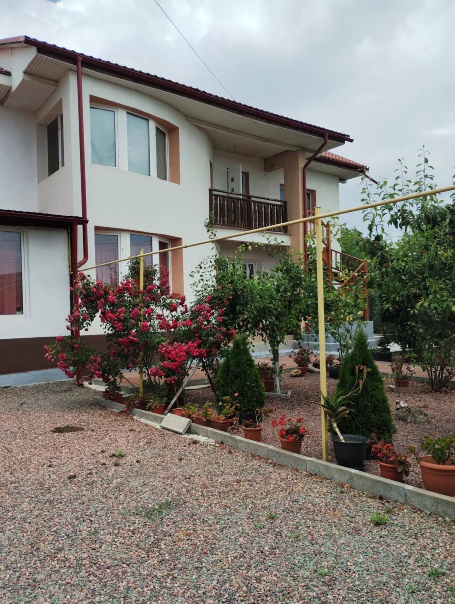 Casa Doina Hotel Douăzeci şi Trei August Buitenkant foto