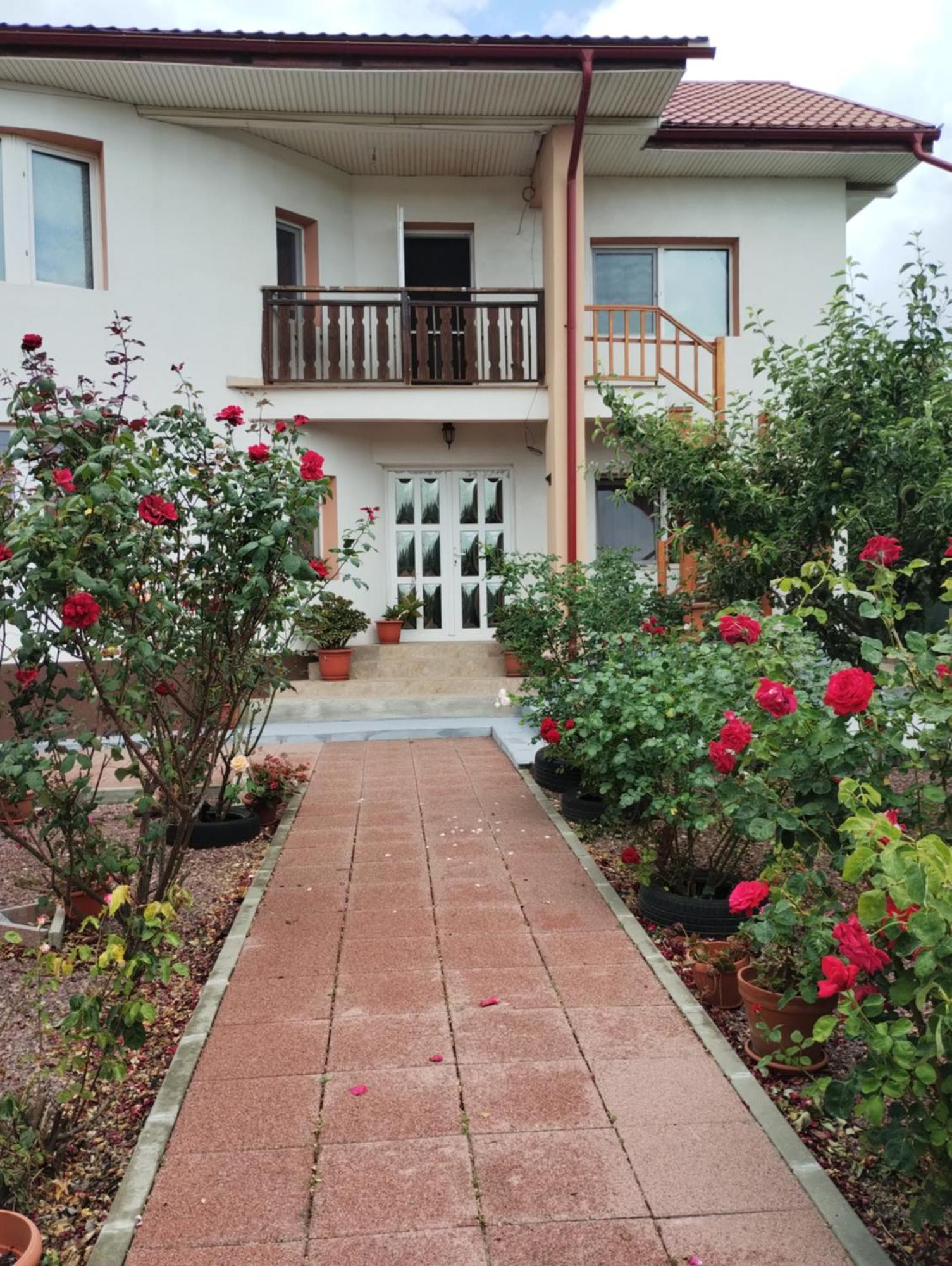 Casa Doina Hotel Douăzeci şi Trei August Buitenkant foto